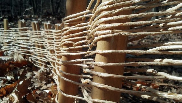 Chair rewilding - woven seat cords