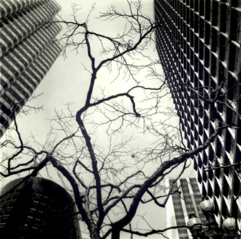 San Francisco Market St, Medium format, hand processed negative film, hand printed fiber print Medium format, hand processed negative film, hand printed fiber print