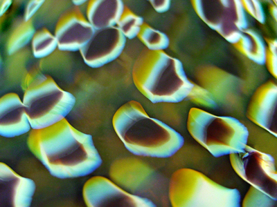 Mottled cone pendant lamp - detail