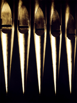 35mm black and white hand processed negative, hand printed color print.