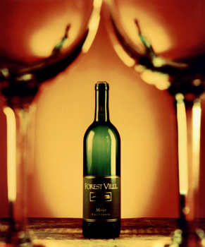 35mm color negative and hand printed color print.